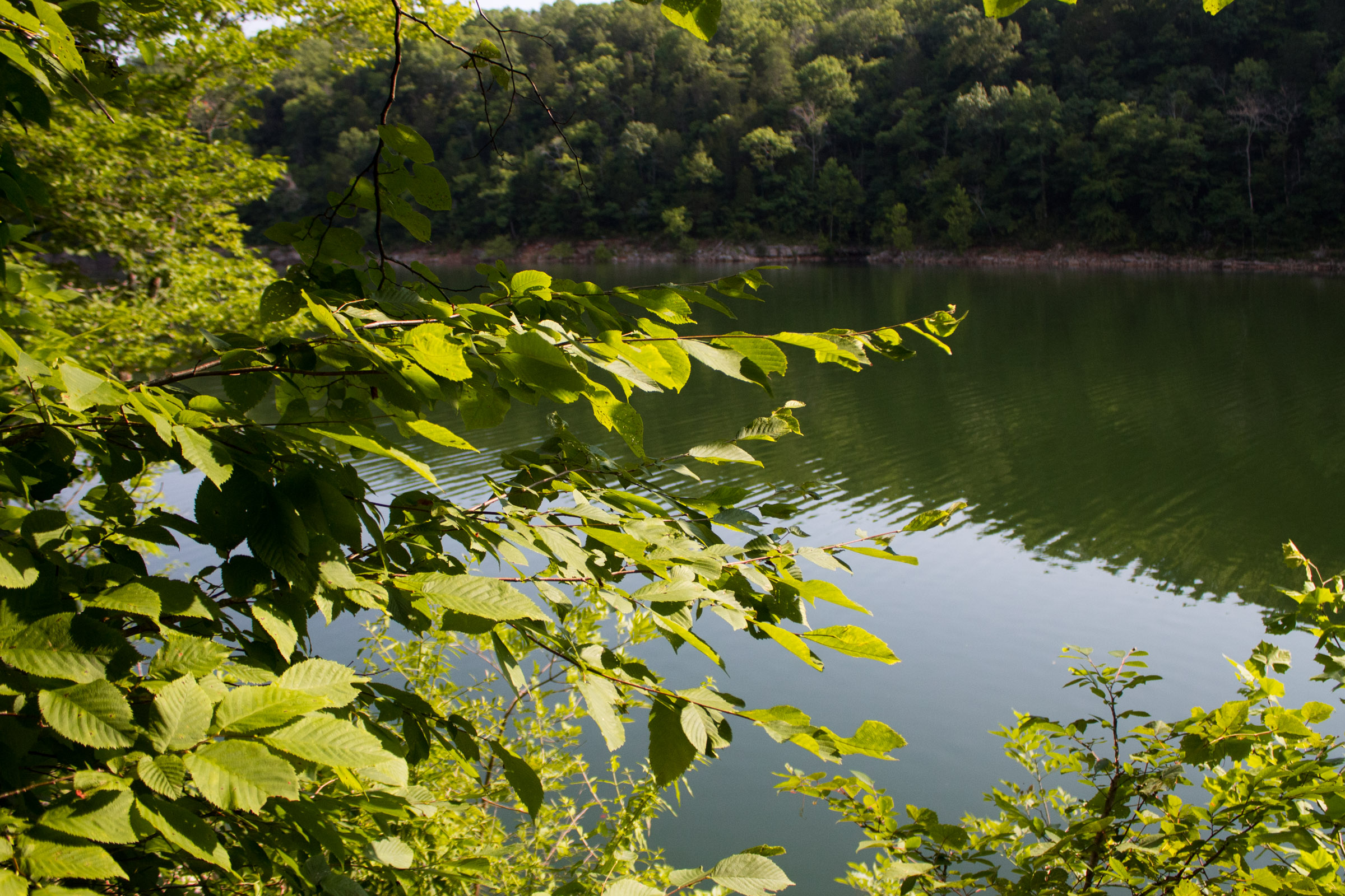 Tract 17 at Bluewater Ridge in Wayne County, Kentucky