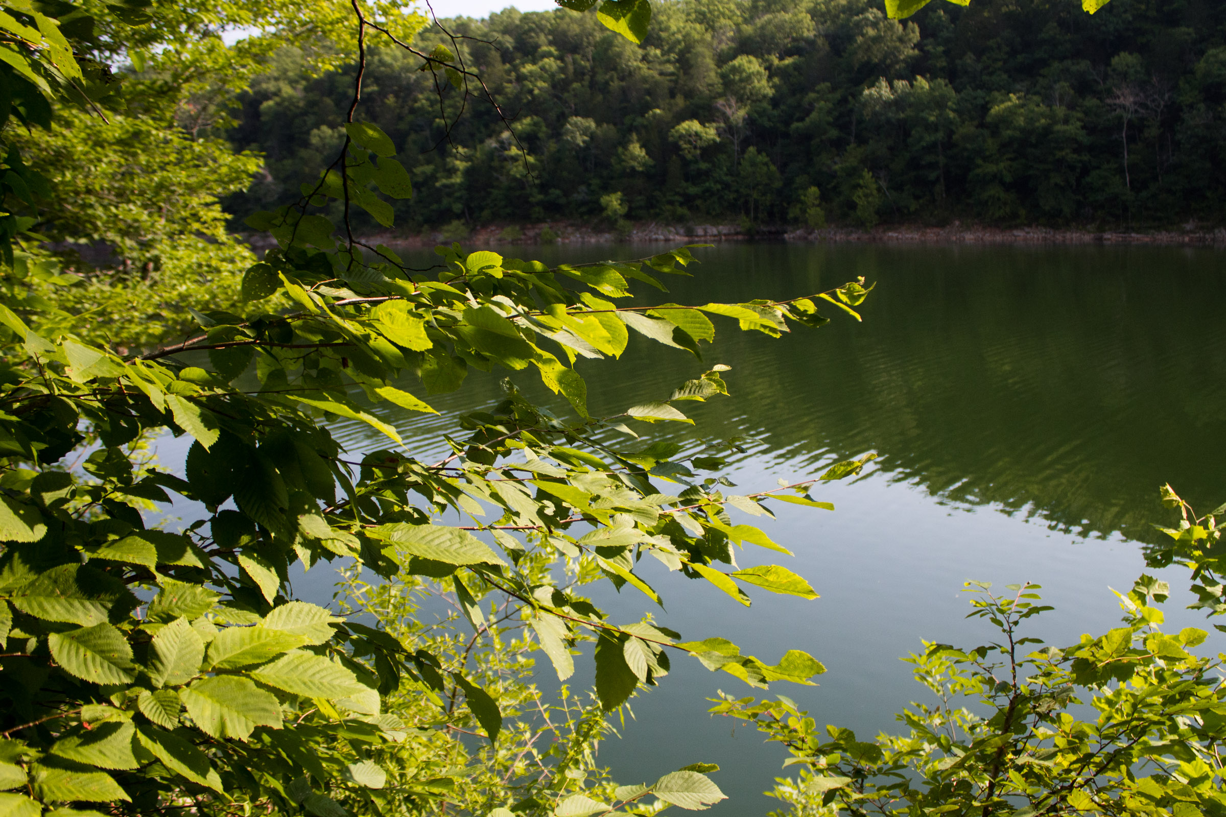Tract 19 at Bluewater Ridge in Wayne County, Kentucky
