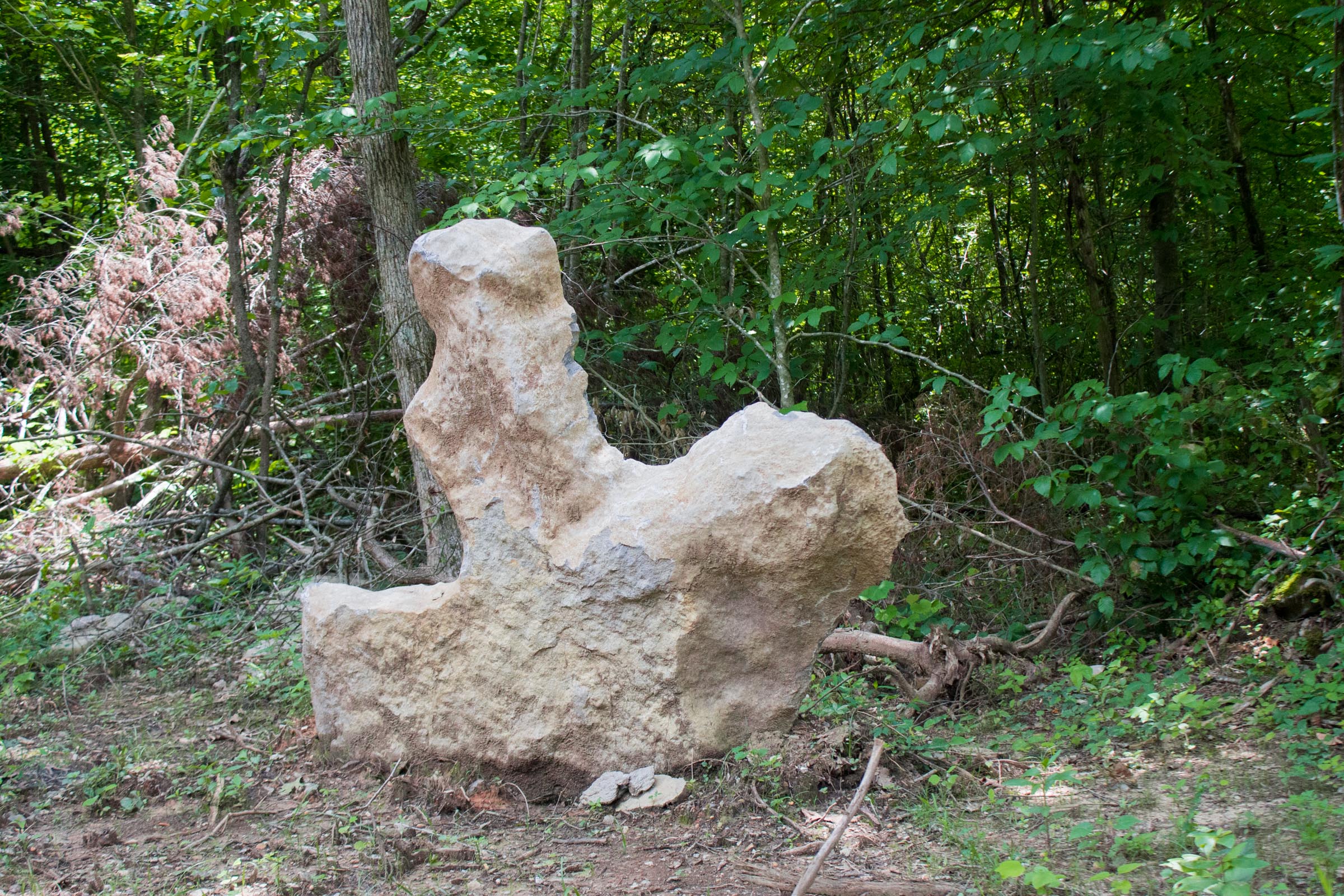 Tract 2 at Bluewater Ridge in Wayne County, Kentucky