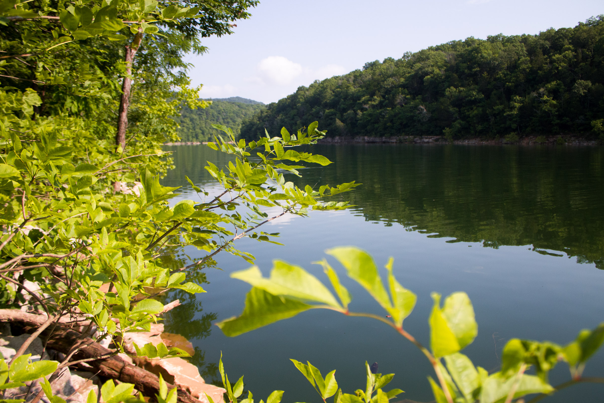 Tract 22 at Bluewater Ridge in Wayne County, Kentucky