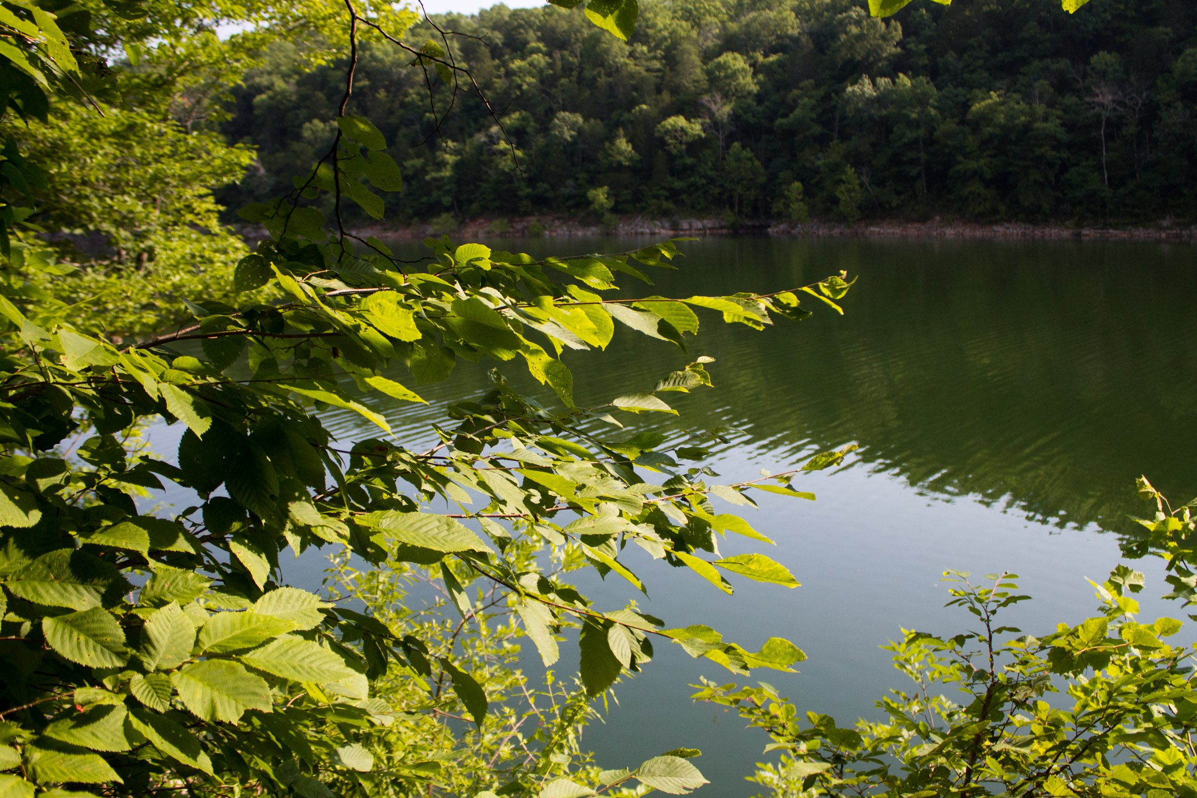 Tract 23 at Bluewater Ridge in Wayne County, Kentucky