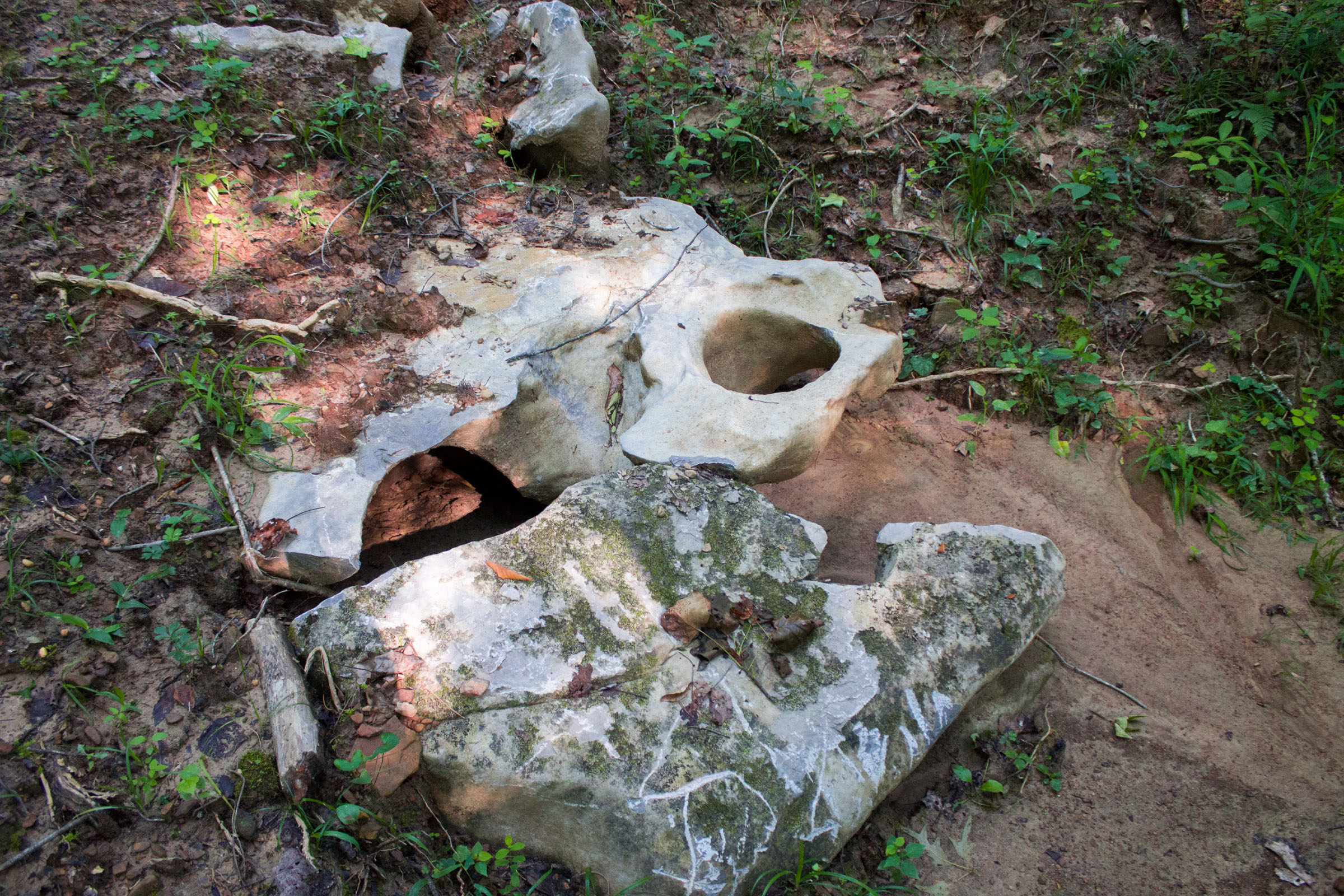 Tract 25 at Bluewater Ridge in Wayne County, Kentucky
