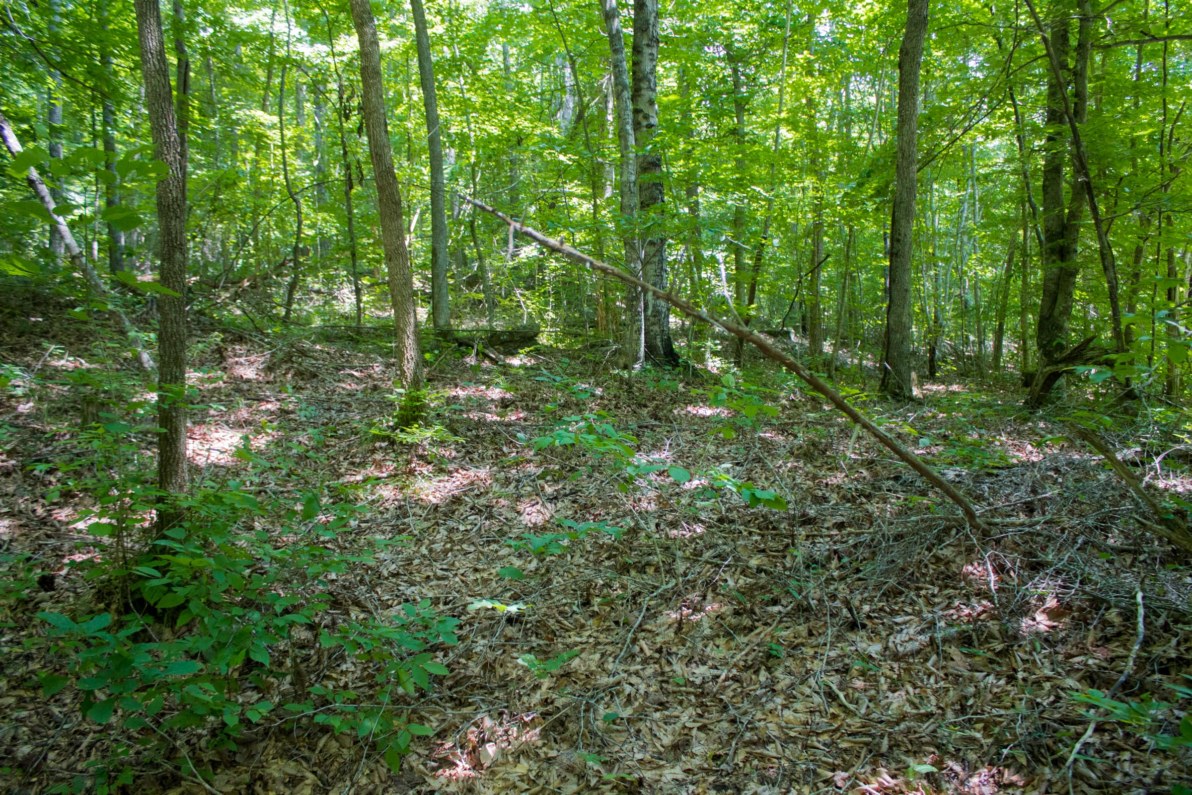 Tract 4 at Bluewater Ridge in Wayne County, Kentucky
