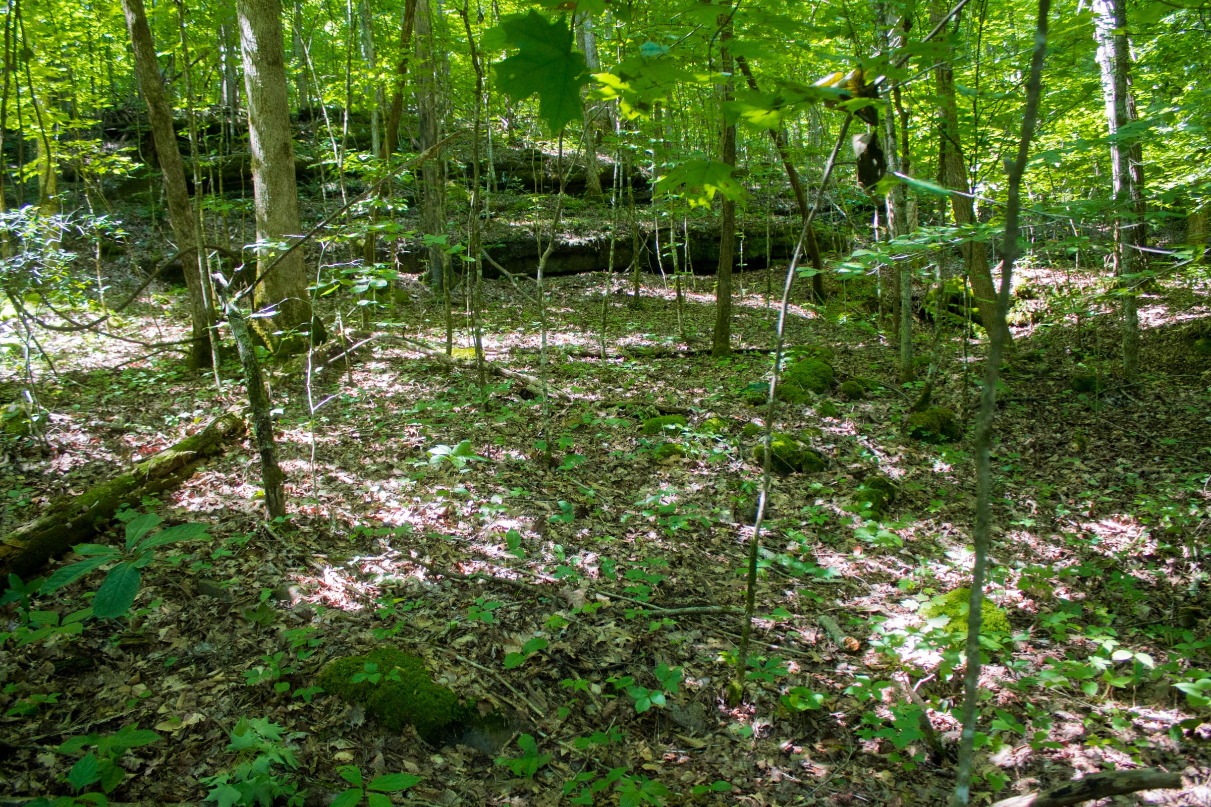 Tract 8 at Bluewater Ridge in Wayne County, Kentucky